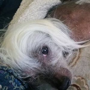 Meet your Posher, Georgia